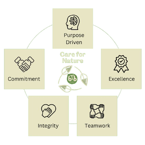 btb-core-values